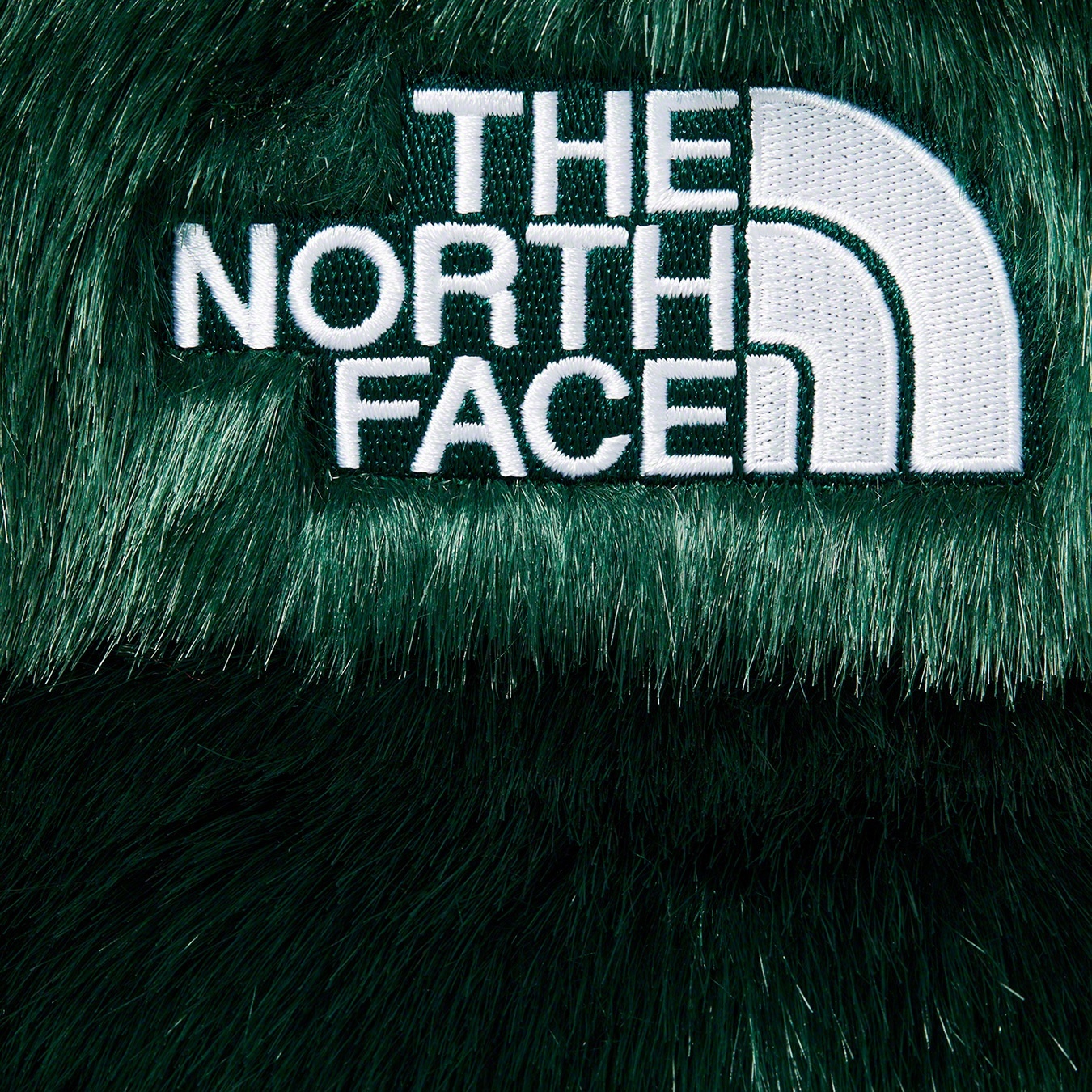 Supreme®/The North Face® Faux Fur Nuptse Jacket view 17